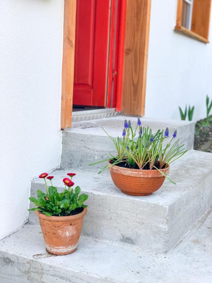 Ferienhaus Feni Neckargemünd Εξωτερικό φωτογραφία